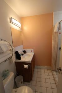 La salle de bains est pourvue d'un lavabo, de toilettes et d'un miroir. dans l'établissement Edgewater Beach Inn & Suites, à Santa Cruz