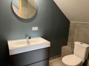 a bathroom with a sink and a toilet and a mirror at Mazā Kaija in Bērzciems +20 photos