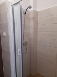 uma casa de banho com uma cabeça de chuveiro em Orion Panzió em Hajdúszoboszló