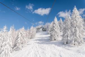Obiekt Top 19 Alpe Maritima - Luxury Lakeview Apartment zimą