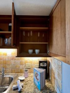 a kitchen with wooden cabinets and a counter top at Luana Waikiki Park Views in Honolulu