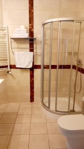 a bathroom with a shower and a toilet at Hotel i Restauracja 13 Smaków in Częstochowa