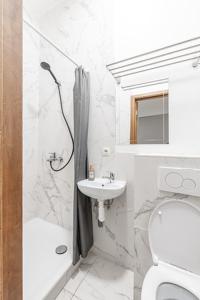 a bathroom with a toilet and a sink and a shower at argonne gare du midi 29 in Brussels