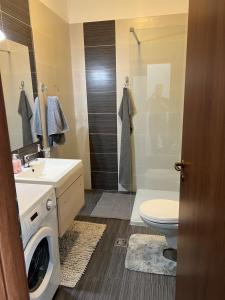 a bathroom with a sink and a toilet and a shower at Apartament modern Ared UTA in Arad