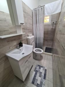 a bathroom with a sink and a toilet and a shower at Vizura in Trebinje