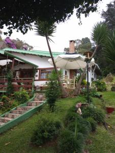 una casa con una palmera en el patio en Rancho da Raposa, en Campos do Jordão