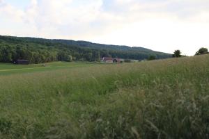 a field of grass with a house in the distance at Landhaus "Am Sonnenberg" in Diekholzen