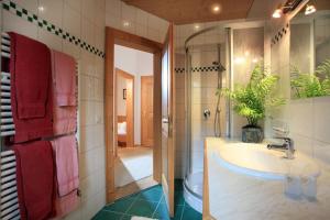 a bathroom with a sink and a shower at Appartement Riedl Martin in Brixen im Thale +12 photos