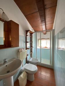 y baño con lavamanos, aseo y lavamanos. en Alloggio Laura in Residence Maremma en Castel del Piano