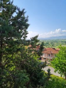 a view of a house through the trees at Bojana Apartment in Negotino