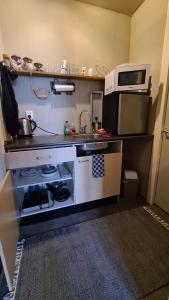 a small kitchen with a sink and a microwave at Rust en Stilte in de Natuur in Onstwedde