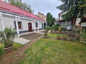 a courtyard of a house with potted plants at Peaceful&Central apartment with garden in Târgu-Mureş