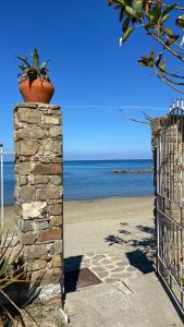 roślina doniczkowa na kamiennej ścianie obok plaży w obiekcie Da Nonna Nina Casa Vacanza w mieście Acciaroli