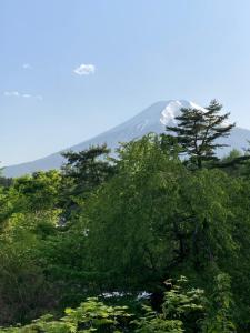 una montagna innevata in lontananza dietro gli alberi di Ryokan Fujitomita a Oshino