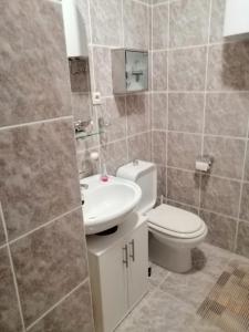 a bathroom with a toilet and a sink at Apartment Ema in Postira in Postira