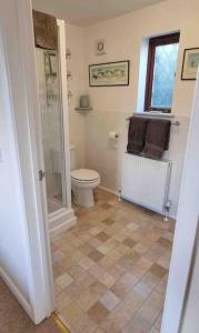 a bathroom with a toilet and a shower and a window at Little Garden Cottage, Tamar Valley, Cornwall in Stoke Climsland