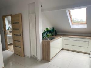 Η κουζίνα ή μικρή κουζίνα στο Apartament u Uli