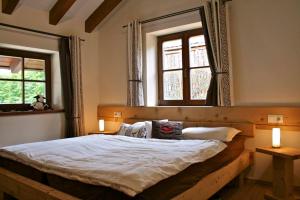 史岱伯斯的住宿－Chalet Edelweiss，一间卧室设有一张大床和两个窗户