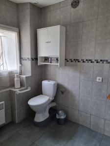 a bathroom with a toilet and a sink and a window at GITE LA BLANCHE LONGERE in Compertrix +13 photos