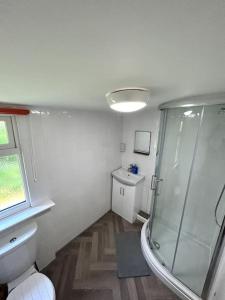 a bathroom with a shower and a toilet and a sink at Sea Valley 33 Bideford Bay Holiday Park in Bideford