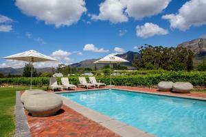 a swimming pool with lawn chairs and umbrellas at Saronsberg Vineyard Cottages in Tulbagh