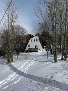 uma grande casa branca na neve com árvores em Chalet L Atypic em Eyne