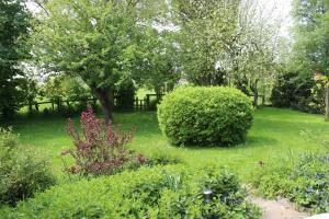 Zahrada ubytování Ferienhaus "Am Deich 30"