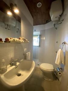 La salle de bains est pourvue de toilettes blanches et d'un lavabo. dans l'établissement Podere Bellavista in campagna, à Gabbro
