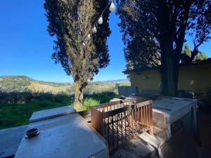 Elle offre une vue sur une cour avec une clôture et des arbres. dans l'établissement Podere Bellavista in campagna, à Gabbro