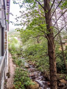 a stream next to a house with a tree at Hotel Valle del Jerte in Jerte