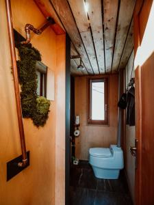 a bathroom with a blue toilet in a room at StromDom Dva Duby in Nová Baňa