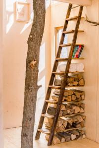 a wooden ladder leaning against a wall next to a tree at StromDom Dva Duby in Nová Baňa
