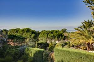 einen Garten mit grünen Hecken und Bäumen in der Unterkunft Villa du domaine au Pyla sur mer in La Teste-de-Buch