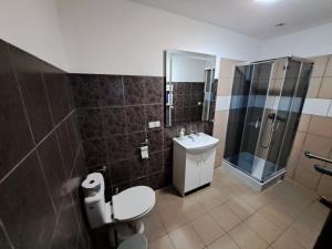 日拉爾杜夫的住宿－Noclegi przy Browarnej，浴室配有卫生间、盥洗盆和淋浴。