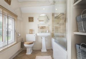 a bathroom with a toilet and a sink and a mirror at Cobbler's Cottage in Pembridge +21 photos