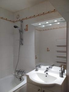 een badkamer met een wastafel en een douche met een spiegel bij Appartement les Rousses Bien situé in Les Rousses