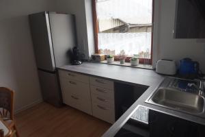 een keuken met een koelkast, een wastafel en een raam bij Ferienwohnung König in Dornstadt