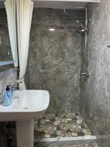 ein Bad mit einem Waschbecken und einer Dusche in der Unterkunft Vila Gregor in Tushemisht