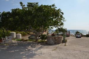 a tree sitting next to a road next to the ocean at La Rosa Dei Venti in Acciaroli