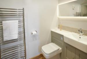 ein Badezimmer mit einem WC, einem Waschbecken und einem Spiegel in der Unterkunft Pear Tree Cottage Shropshire in Orleton