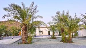 un grupo de palmeras frente a un edificio en The Palm Estate, en Fujairah