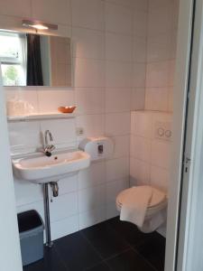 een witte badkamer met een wastafel en een toilet bij Het Wapen van Aelden in Aalden