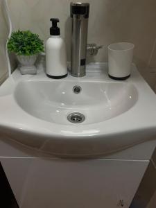 a white sink with two bottles of soap and a plant at Apartment ALMA- Vodnjan- smještaj blizina mora sa besplatnim javnim parkingom in Vodnjan