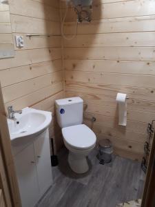 a bathroom with a toilet and a sink at Domki Letniskowe U Żuni in Chłopy