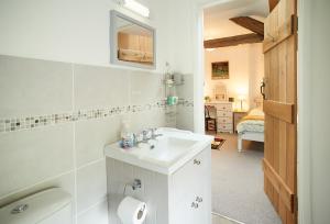 a bathroom with a sink and a toilet at Troedrhiwfawr in Aberystwyth