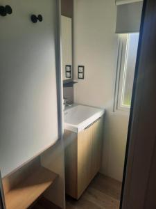 Un baño con un lavabo blanco y un espejo. en Charmant mobil-home 178, en Narbona