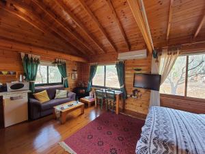 a bedroom in a log cabin with a bed and a couch at Eretz Hagalil - Land of Galilee in Amirim