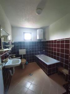 La salle de bains est pourvue d'une baignoire, de toilettes et d'un lavabo. dans l'établissement House Bosko Best place for everyone, 