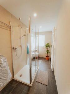ein Bad mit einer Dusche und einem Waschbecken in der Unterkunft Welcome Haus Allgäu in Memmingen