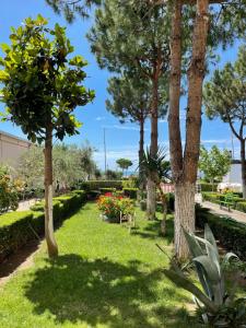 Zahrada ubytování Vila Beni